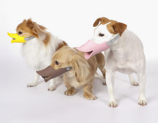 23-Quack-A-Duck-Billed-Protective-Muzzle-For-Dogs
