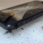 【悪質デマ動画】iPhone6 が電子レンジで充電可能と海外で話題