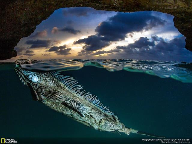 09-national-geographic-photo-contest-2014