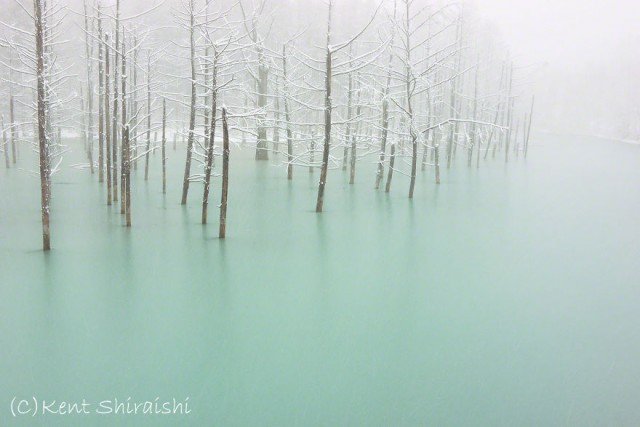 05-blue-pond-first-snowhokkaido
